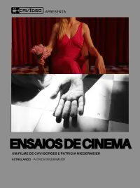 Poster to the movie "Ensaios de Cinema" #872157
