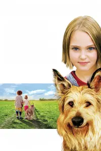 Poster to the movie "Because of Winn-Dixie" #750105