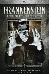 Poster to the movie "Frankenstein" #983296