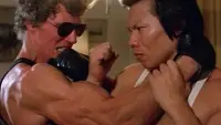 Backdrop to the movie "Challenge of the Tiger" #719947