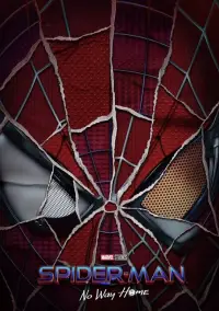 Poster to the movie "Spider-Man: No Way Home" #1015712