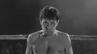 Backdrop to the movie "Raging Bull" #753957