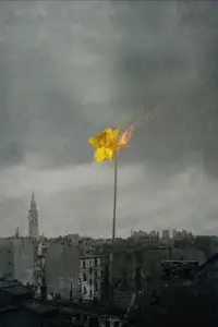 Poster to the movie "33 Photos from the Ghetto" #592165