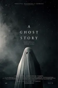 Poster to the movie "A Ghost Story" #959716