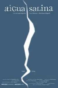 Poster to the movie "Saline Water" #871029