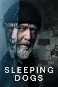 Poster to the movie "Sleeping Dogs" #947383