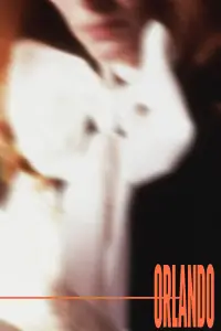 Poster to the movie "Orlando" #1026965