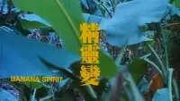 Backdrop to the movie "Banana Spirit" #797739