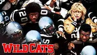 Backdrop to the movie "Wildcats" #1035463