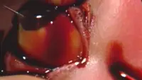 Backdrop to the movie "Guinea Pig: Devil