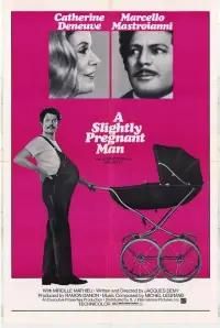 Poster to the movie "A Slightly Pregnant Man" #1137440