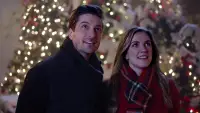 Backdrop to the movie "A Christmas Star" #887969