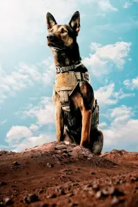 Poster to the movie "Max" #769631