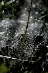 Poster to the movie "Refractions" #797653