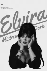 Poster to the movie "Elvira, Mistress of the Dark" #1027482