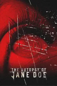 Poster to the movie "The Autopsy of Jane Doe" #938800