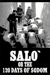 Poster to the movie "Salò, or the 120 Days of Sodom" #955161