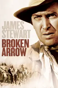 Poster to the movie "Broken Arrow" #993996
