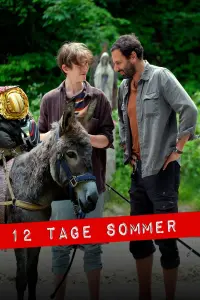 Poster to the movie "12 Tage Sommer" #860077