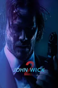 Poster to the movie "John Wick: Chapter 2" #912801