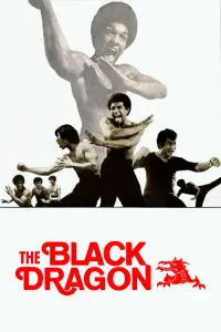 Poster to the movie "The Black Dragon" #1138777
