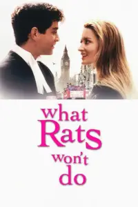 Poster to the movie "What Rats Won