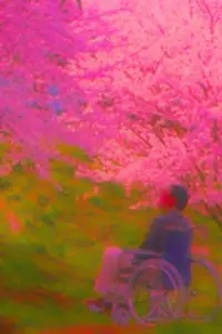 Poster to the movie "Fireworks" #711012