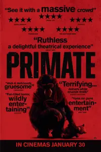 Poster to the movie "Primate" #510236