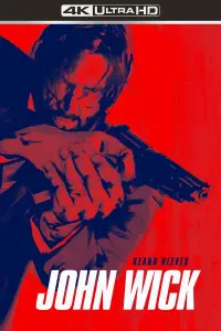 Poster to the movie "John Wick" #526119