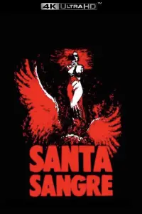 Poster to the movie "Santa Sangre" #973530
