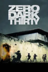 Poster to the movie "Zero Dark Thirty" #954265