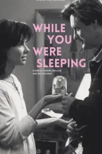 Poster to the movie "While You Were Sleeping" #1139371