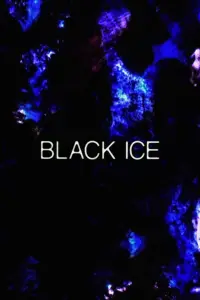 Poster to the movie "Black Ice" #1045885