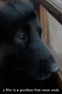 Poster to the movie "a film is a goodbye that never ends" #480892