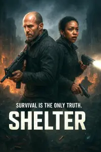Poster to the movie "Shelter" #1121020