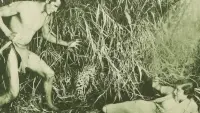 Backdrop to the movie "The New Adventures of Tarzan" #733821