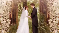 Backdrop to the movie "The Twilight Saga: Breaking Dawn - Part 1" #1004316