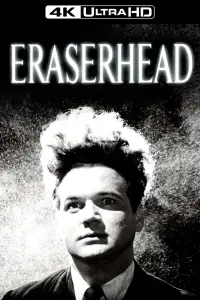 Poster to the movie "Eraserhead" #1023698