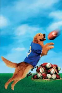 Poster to the movie "Air Bud: Golden Receiver" #985999