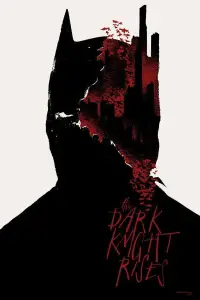 Poster to the movie "The Dark Knight Rises" #559293