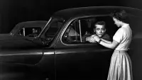 Backdrop to the movie "Rebel Without a Cause" #761292