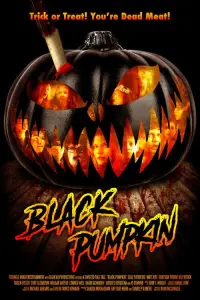 Poster to the movie "Black Pumpkin" #1079760