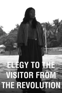 Poster to the movie "Elegy to the Visitor from the Revolution" #1018877