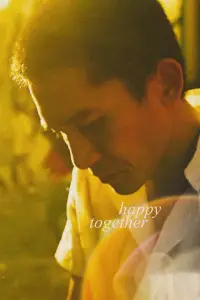 Poster to the movie "Happy Together" #1141986