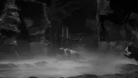 Backdrop to the movie "Creature from the Black Lagoon" #783015
