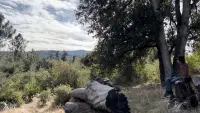 Backdrop to the movie "Hunting Bigfoot" #366667
