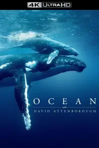 Poster to the movie "Ocean with David Attenborough" #617873
