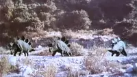 Backdrop to the movie "Planet of Dinosaurs" #831056