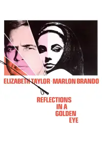 Poster to the movie "Reflections in a Golden Eye" #959988