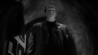 Backdrop to the movie "The Bride of Frankenstein" #1020263
